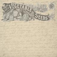 vintage seeds background template