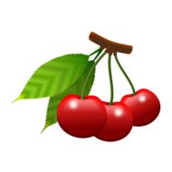 clipart of cherries fruits