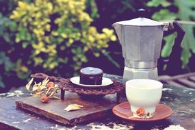 coffee with chocolate cake in the garden