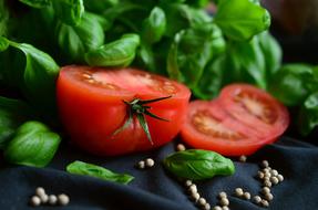 Fresh Tomato Basil cut