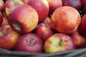 red apples in a bowl at the market