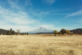 Beautiful and colorful landscape with the meadow with trees, near the volcano, under the blue sky with white clouds d