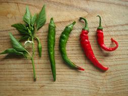 Chili Paprika Sharp on wood