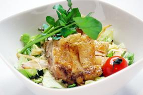 Food Gourmet as a restaurant dish