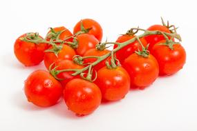 wet cherry tomatoes on a branch