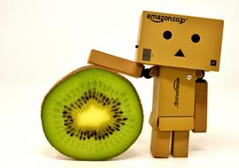 clipart of Danbo Figure and Kiwi