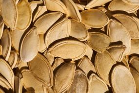 Close-up of the pumpkin seeds of different shades in light