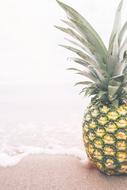 Pineapple Fruit Food on sand