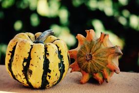 decorative striped pumpkin