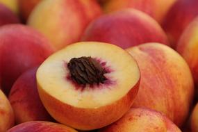 Food Fruit Peach Stone