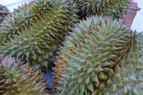 Durian Smelly Fruit