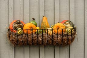 metal basket with hay and pumpkin