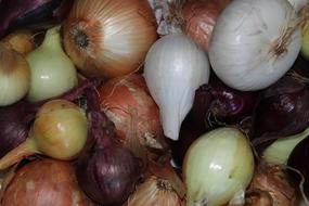 harvest of onions of different varieties