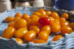 Mini-Tomatoes in a wicker bowl close-up