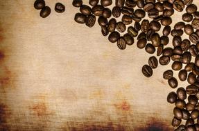 roasted coffee beans on canvas background