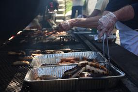 grilled meat chicken