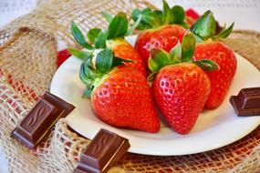 Closeup photo of Strawberries Chocolate Fruit