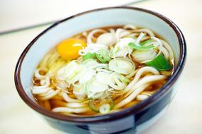 Japanese Food Udon