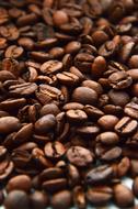 Coffee Caffeine Espresso brown seeds