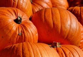 Orange Pumpkin Fruits vegetables