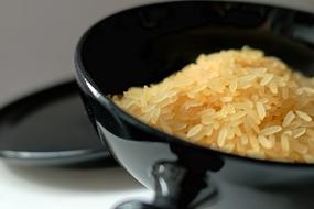 Rice Bowl in Asia