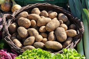 a lot of potatoes in basket