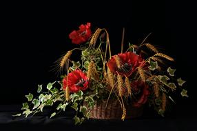 Beautiful wicker basket with beautiful, red poppy flowers, green leaves and yellow wheat, at black background