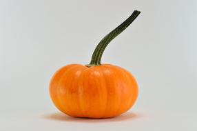 Orange Pumpkin decorative