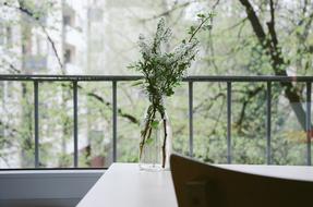 Flower Vase at Balcony