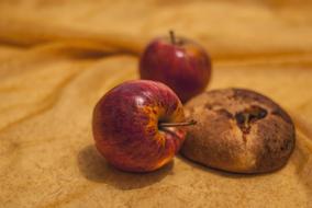 Bread and Fruit Apples