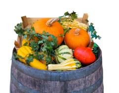 Colorful and beautiful autumn harvest on the barrel, at white background, clipart