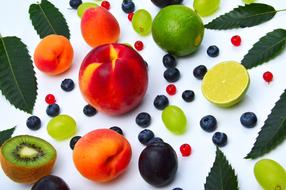 Color Fruits Peach