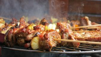 grilled meat in the fireplace