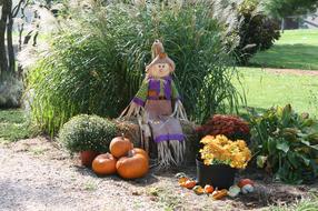 Colorful, cute straw figure, among the colorful and beautiful plants, in the fall