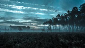Beautiful, foggy landscape of the Basin of Arcachon, with the trees, under the clouds