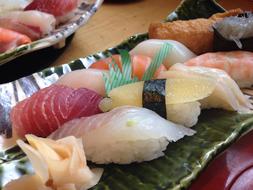 Sushi Japanese Food dish