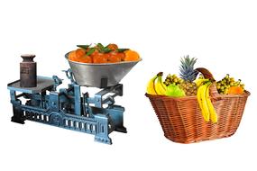 Beautiful and colorful fruits in the baskets, near the scales, at white background, clipart