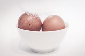 two brown Eggs covered with Feather in white bowl