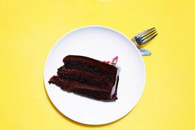 a piece of chocolate cake on a plate