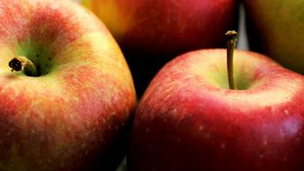 closeup photo of Apple Red Fruits