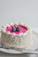 cake with coconut flakes and berry jam