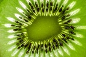 Close-up of the beautiful, green and white kiwi core with black seeds