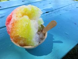 Shaved Ice Snow Cone