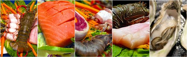 seafood collage food food collage