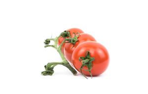 farm tomatoes on a branch on a white background