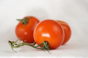 Tomato Bush On A Vine