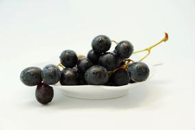 Grape Fruit Table Grapes