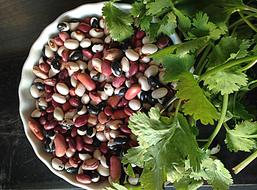Beans Cilantro Food