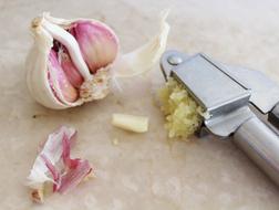 Garlic Press Spice