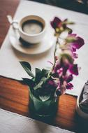 Dining Table Coffee